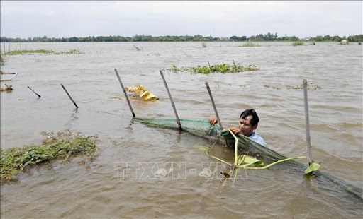 Người dân An Giang nhọc nhằn mùa nước nổi mà lũ không về (04/10/2021)